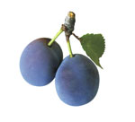 Plum - 70 kcal in 100g